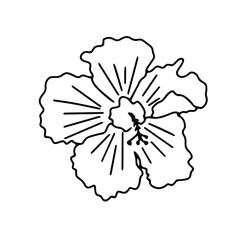 Chinese rose hibiscus flower. Simple doodle vector illustration