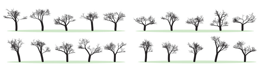 Set of Vector Trees iSilhouettes, Black and White, Without Leaves