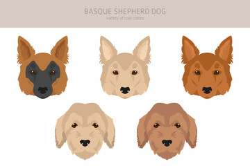 Basque Shepherd dog all colours clipart. Different coat colors and poses set