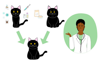 collection of a black sick, healthy and fat cat with a black veterinarian woman explaining diet cat food, injection, medicine and virus.