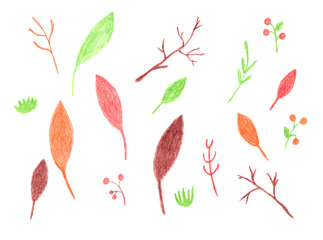 Set of plants colored with pencils in warm autumn colors isolated on white background