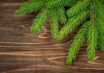 Spruce branches on a wooden background.