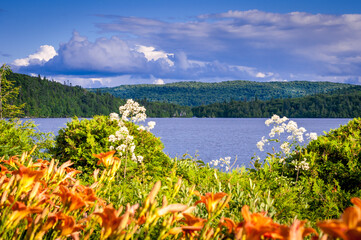 Naklejka premium colorful landscape abroad a lake and deep woods of the High Laurentians under a cloudy blue sky, Quebec, Canada