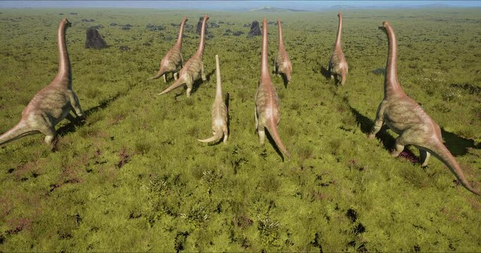 Brachiosaurus herd, sauropod walking in search of food. Jurassic period, Mesozoic era. 3D rendering