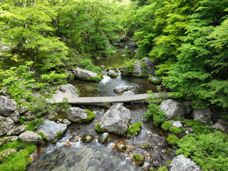 愛媛県内子町　小田深山渓谷　深山荘周辺の風景