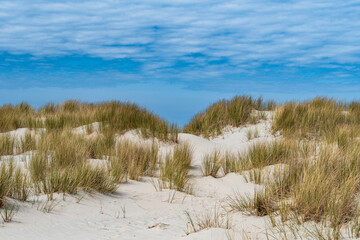Zwischen Kalfamer und Flugplatz