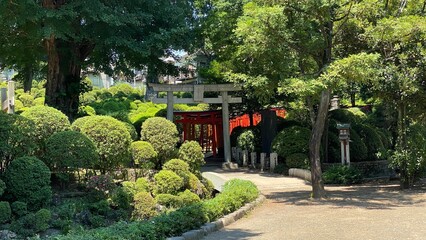 Entry “Torii” gate of thousand torii at Japanese honorable shrine “Nezu” downtown Tokyo, beautiful sunny June year 2022 28th
