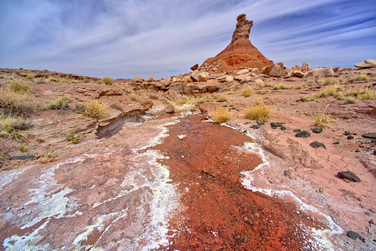 A hoodoo called The Guardian near a natural Spring west of Pintado Point in Petrified Forest National Park, Arizona, United States of America