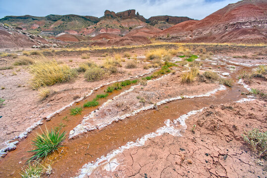 A flowing Spring of salty brine water located below Pintado Point, Petrified Forest National Park, Arizona, United States of America