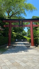 Entry gate of “Nezu” shrine, red Torii gate and the stone pavement that leads to the main shrine.  Year 2022 June 28th sunny Tokyo Japan