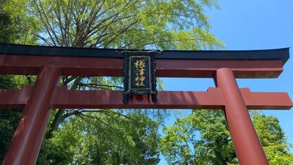 Entry gate of “Nezu” shrine, red Torii gate and the stone pavement that leads to the main shrine.  Year 2022 June 28th sunny Tokyo Japan