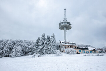 Fototapeta premium Winter Wonderland