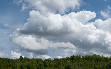 Obraz premium Bright cumulus clouds above forest canopies, soft fluffy clouds