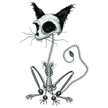 Cat Skeleton Creepy Halloween Character Vector illustration isolated on white