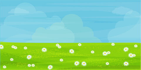 Fototapeta premium Field, meadow with chamomile flowers. A plain with white flowers and grass. Blue sky. Vector
