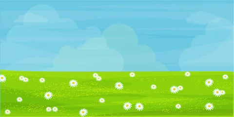 Fotobehang Field, meadow with chamomile flowers. A plain with white flowers and grass. Blue sky. Vector © olga_illustrator