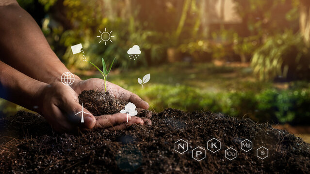 Closeup hand of person holding abundance soil with young plant in the middle of the icons and minerals icons. Concept green world earth day. Smart Farming Concept. Ecology and Environment Earth.
