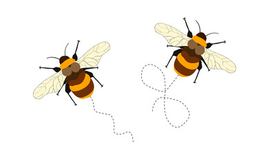 Set of cartoon bee mascot. A small bees flying on a dotted route. Wasp collection. Vector characters. Incest icon. Template design for invitation, cards. Doodle style