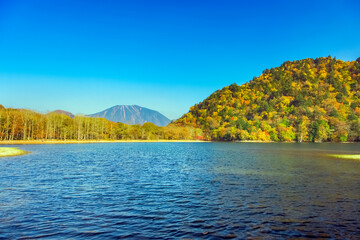 紅葉する西ノ湖と男体山