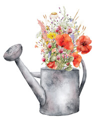 bouquet of wild flowers in a watering can watercolor hand drawn illustration © EvgeniiasArt