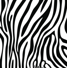 Vector illustration of seamless zebra pattern.Seamless vector black and white zebra fur pattern.Stylish wild zebra print. Animal print background for fabric,textile,design,advertising banner.Zebra.