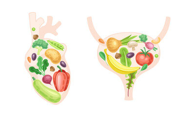 Heart and bladder made of fresh fruit and vegetables. Healthy human internal organs vector illustration - obrazy, fototapety, plakaty