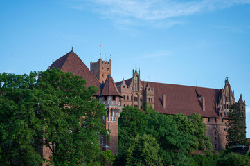 Fototapeta premium Malbork castle