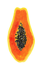 half papaya - hand drawn illustration isolated on white. realistic drawing of exotic orange fruit with black seeds