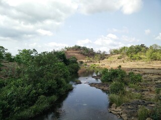 Fototapeta premium river in the forest