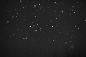 Obraz premium Snow background. Snow on a black background. Snowflakes for overlay.