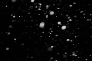Snow background. Snow on a black background. Snowflakes for overlay.