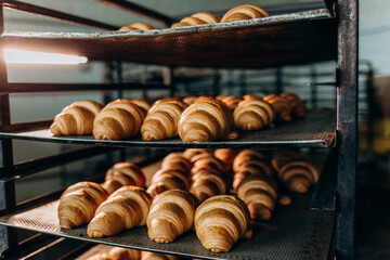 freshly baked croissants in the baking oven