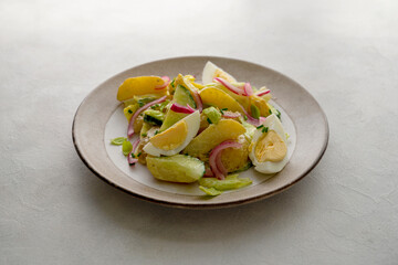 Healthy food. Delicios potato salad with eggs, cucumbers, cabbage and red pickled onions. Delicious healthy summer salad.