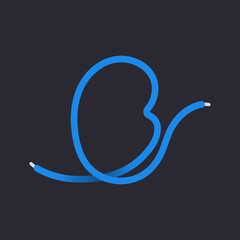 Fototapeta premium B letter made shoelace. Vector isolated font for app logo, sport design, creative template and more