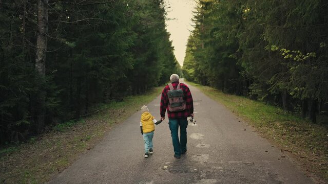 grandpa and child boy are walking together on road across pinery in morning or evening