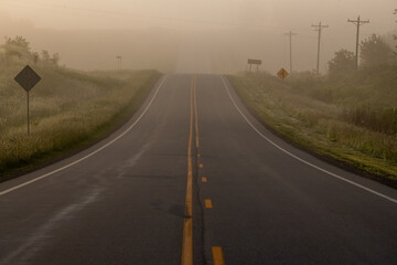 Road into the fog