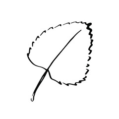 Doodle leaf. Isolated vector. 