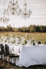 The delicate decor of the wedding banquet table is in pastel colors. Wildflowers, crystal glassware, candles. Сrystal chandelier on top, illuminating the table.