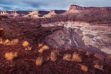 Morning Canyon