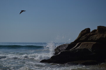 Hermosa playa! Guerrero México