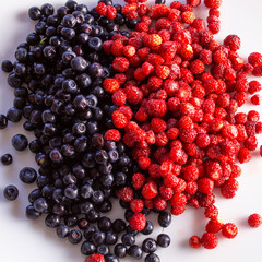 wild strawberries and blueberries, fresh wild berries