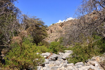 Fototapeta na wymiar View of ruins of an abandoned village at the Wadi Bani Habib at the Jebel Akhdar mountain in Oman