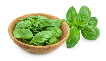 Fresh basil leaf in wooden bowl isolated on white background with full depth of field.