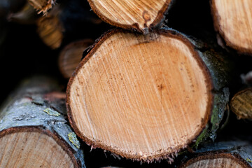 Defocus wood log. Natural wooden background. Closeup of chopped firewood. Firewood stacked and prepared for winter Pile of wood logs. Closeup. Out of focus