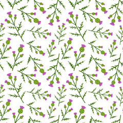 Seamless pattern with Thistle on white background. Vector botanical print with hand drawn in doodle style wild flowers for textile or wrapping paper