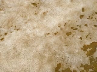 Bubbles on the beach water