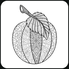 coloring book page for adults. Contour fruit in a mandala style
