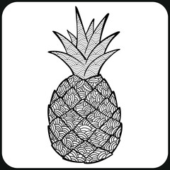 coloring book page for adults. Contour fruit in a mandala style