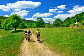 Fototapeta na wymiar Rear view of a happy friends riding bicycles on country road in summer sunny day. They get a lot of fun riding together, Nieznajowa, Low Beskids, Poland
