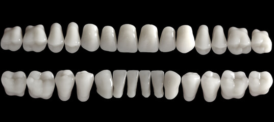 Tooth samples on black background